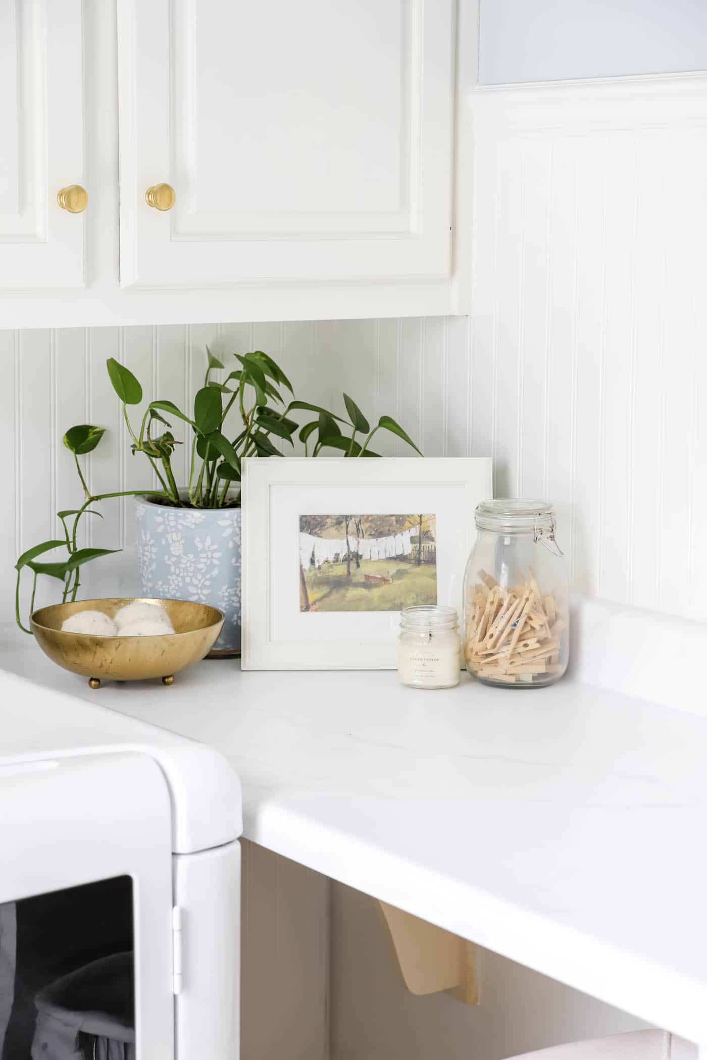 greenery in the laundry room makeover ideas