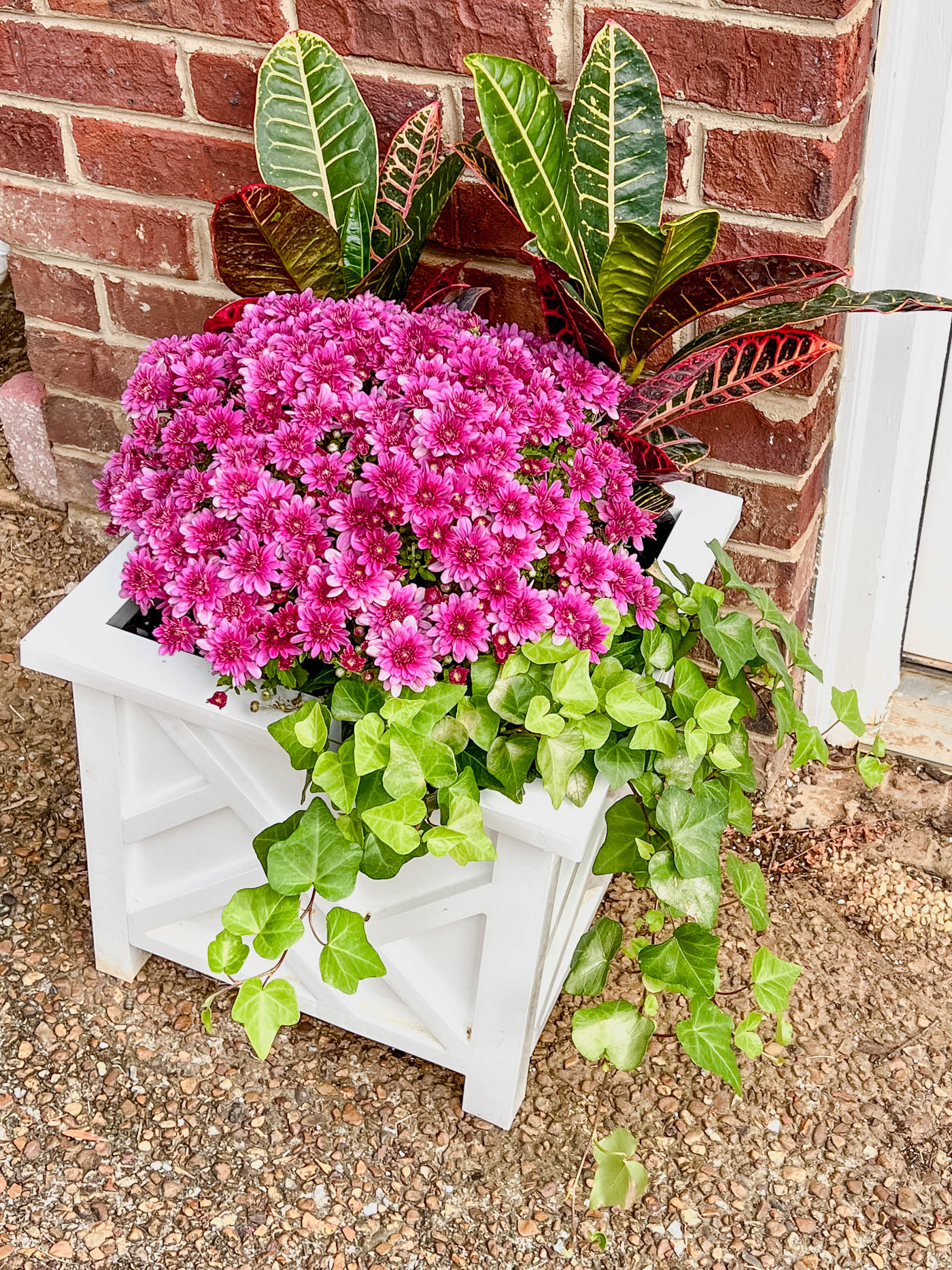 mums, ivy and croton in a fall planter