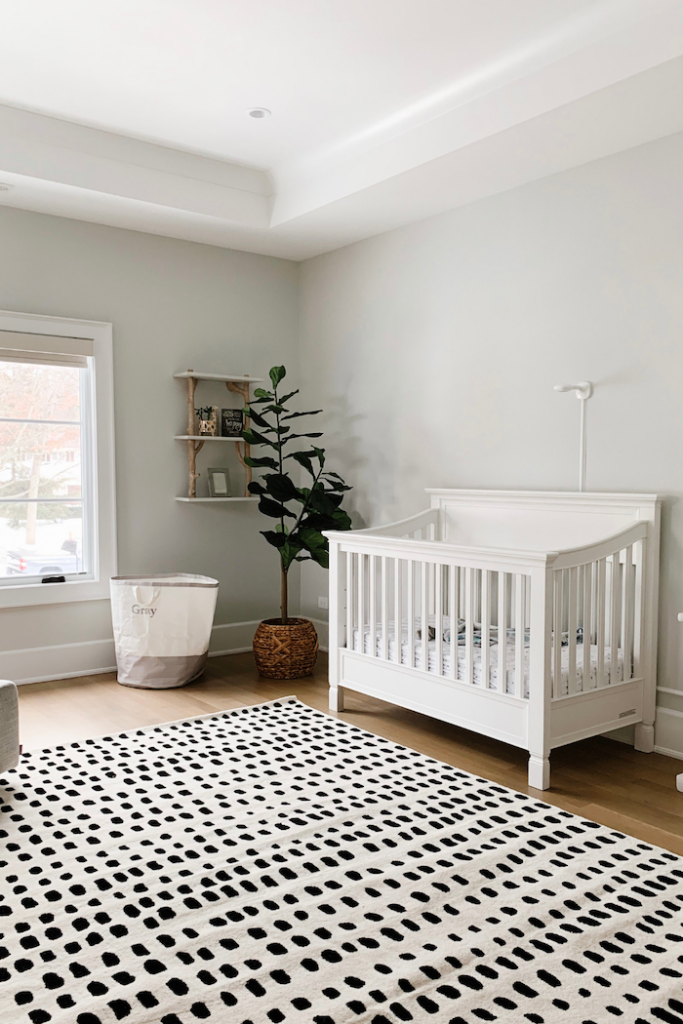 Paper White color walls in a neutral nursery with black and white rug, white crib and fiddle leaf fig tree in the corner. 