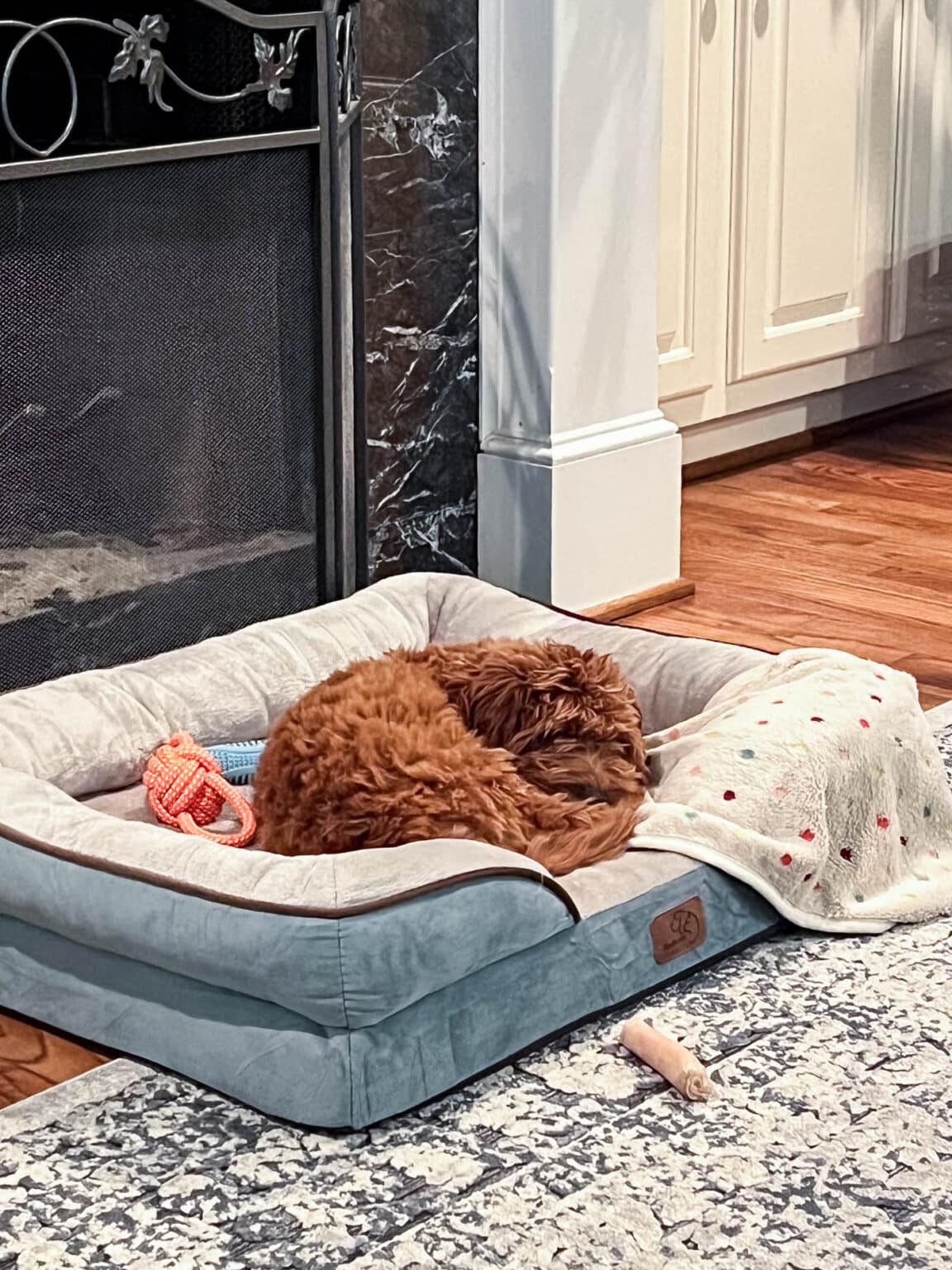 10+ Stylish Dog Crate Furniture Ideas