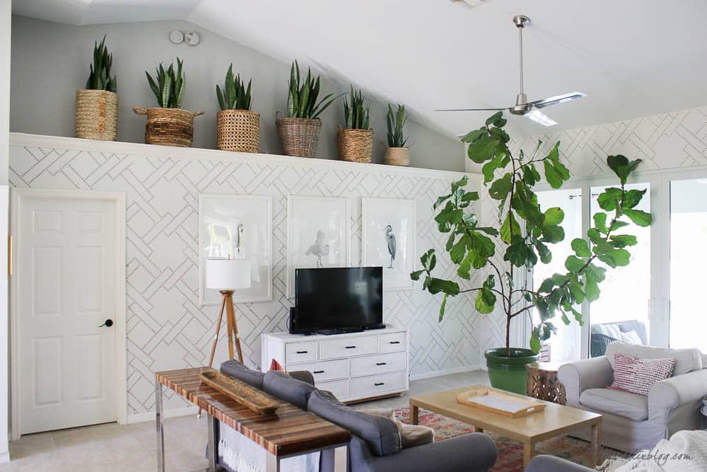 several snake plants on a ledge overlooking a living room