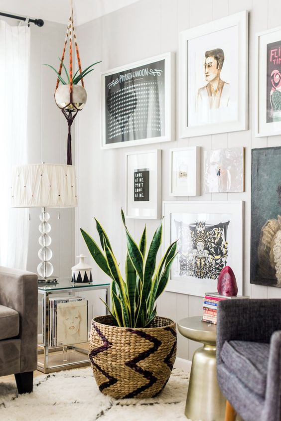 snake plant in a woven basket in a living room with gallery wall.