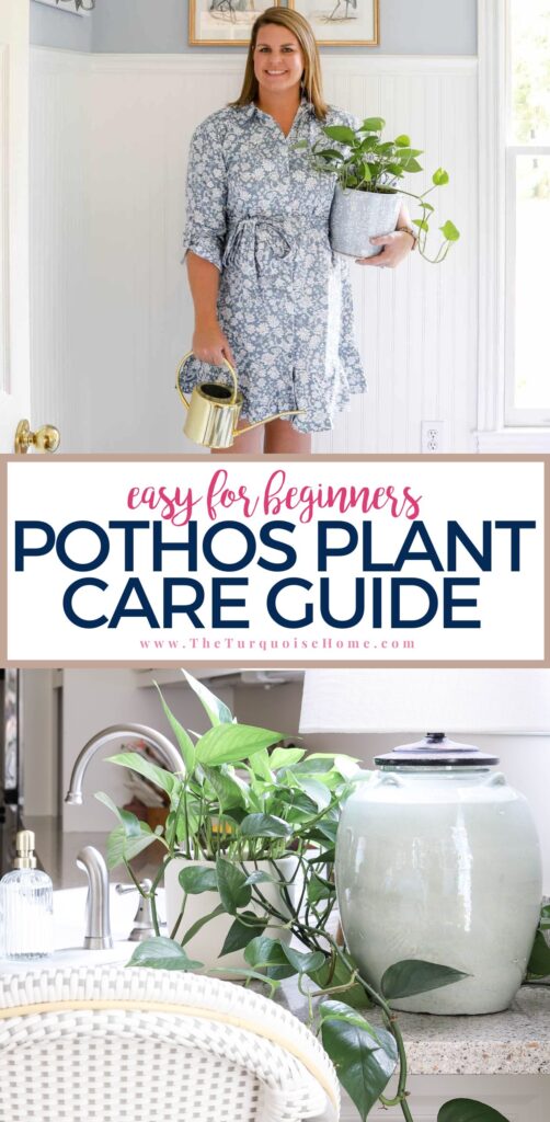 pothos plant care guide