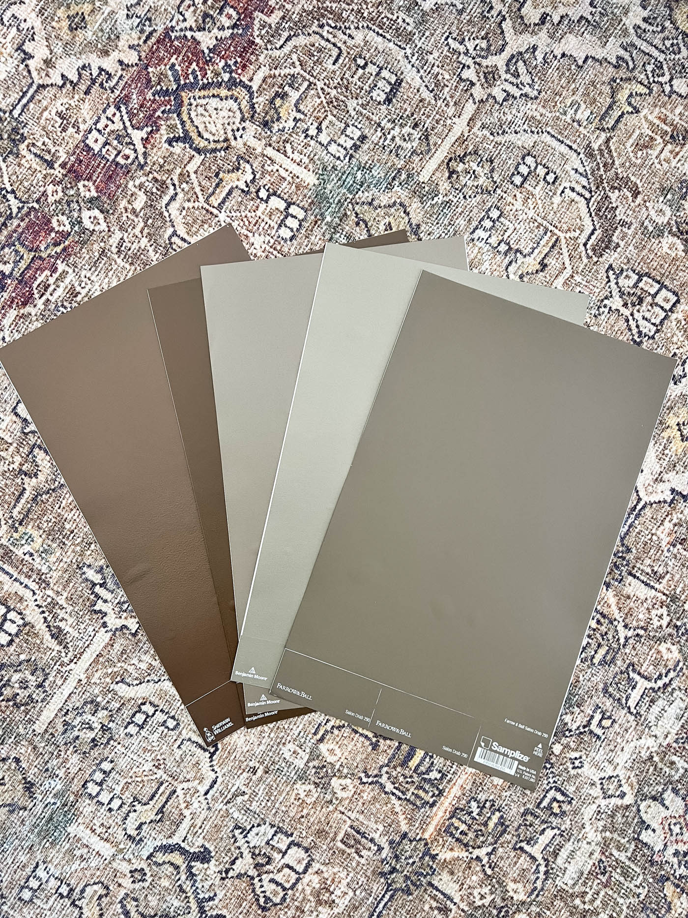 fan of paint swatches on the floor.