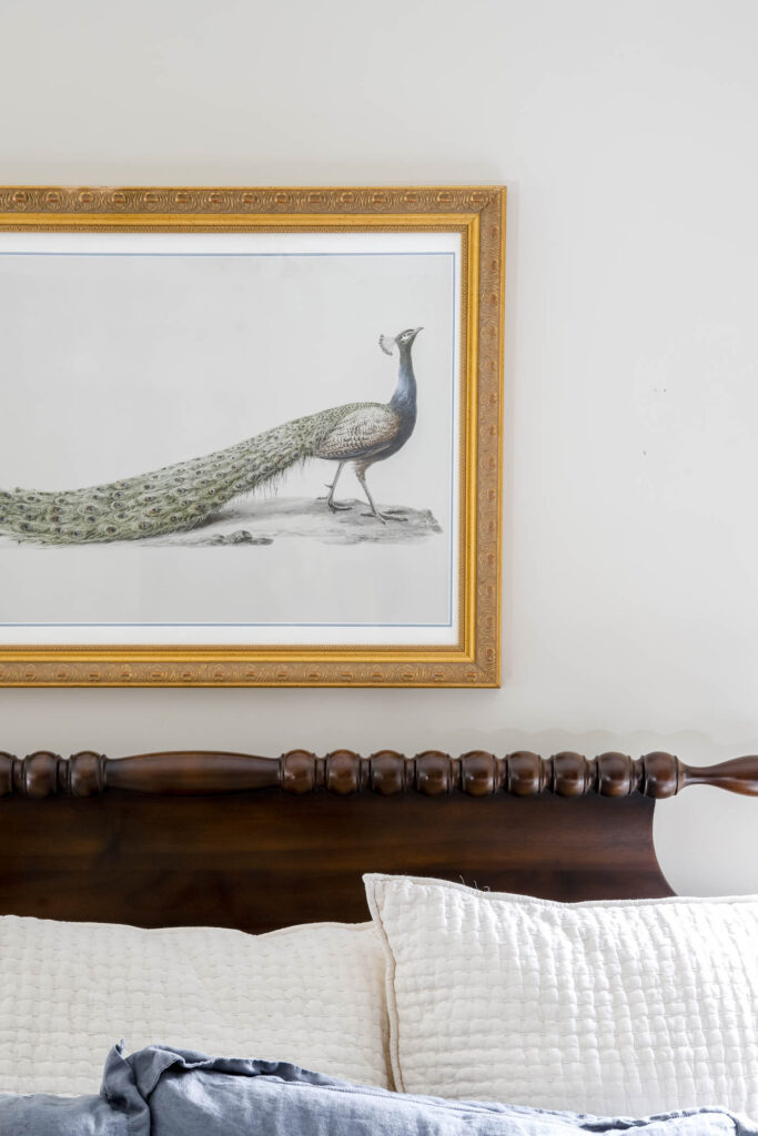 DIY Peacock Framed Art