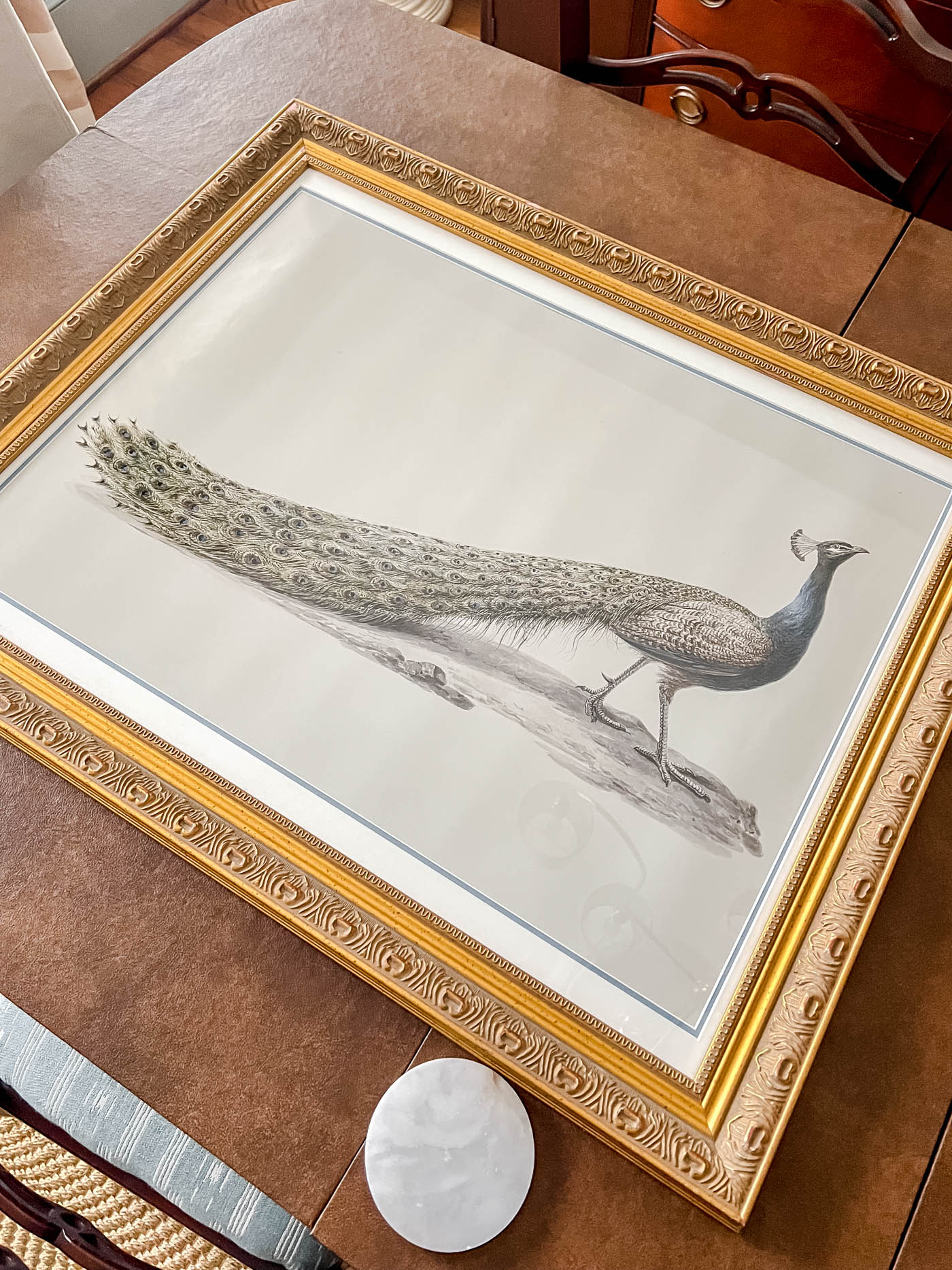 printed peacock art and custom mat board