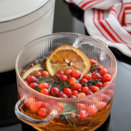 Christmas simmer pot recipe