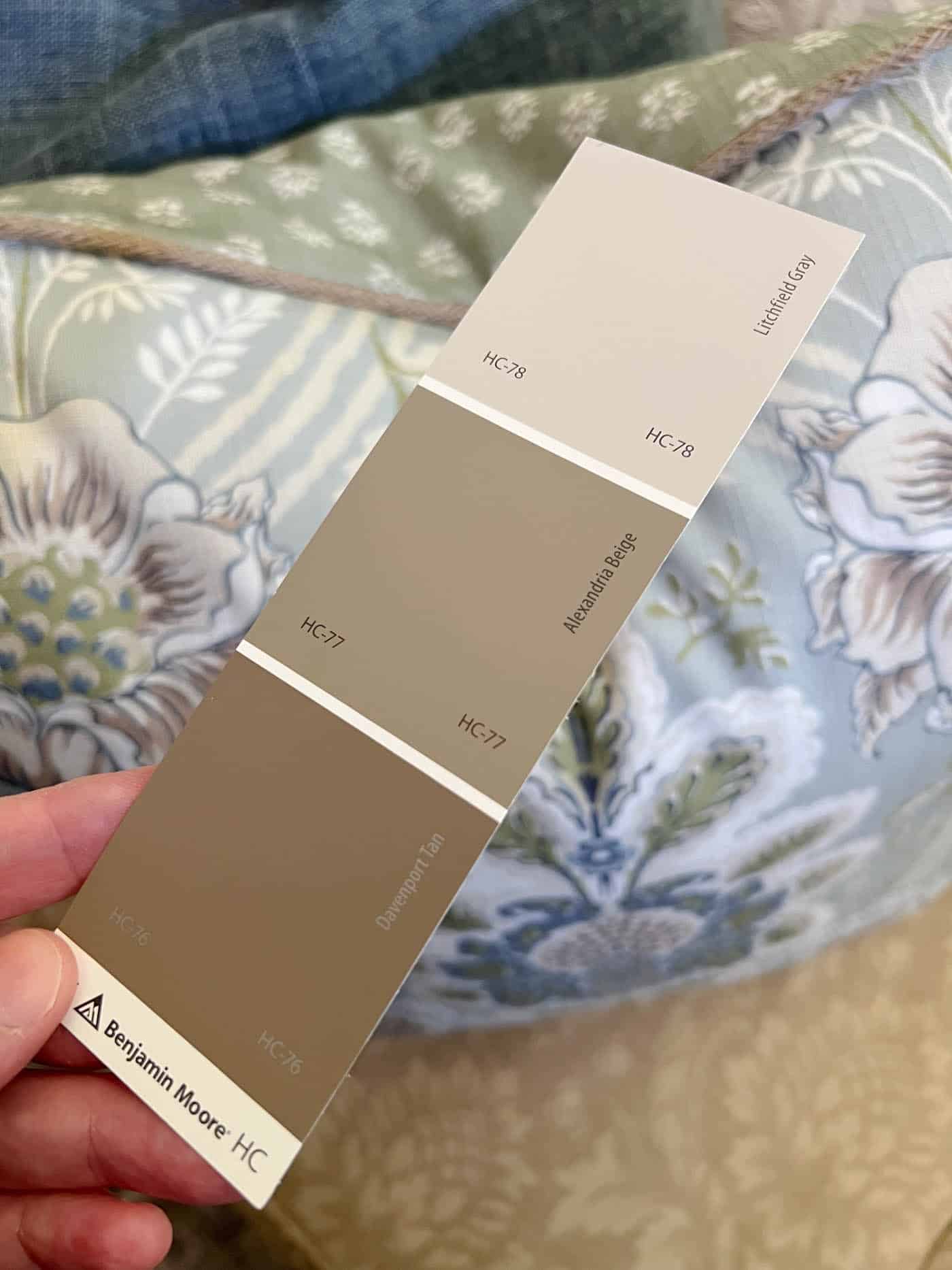 brown paint color paint swatch next to a throw pillow