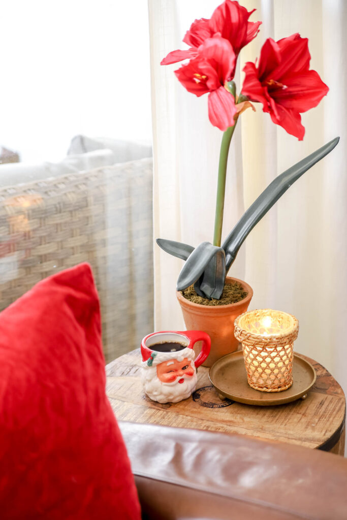 Sant mug with poinsettia flower and candle next to a leather chair with a red velvet pillow.
