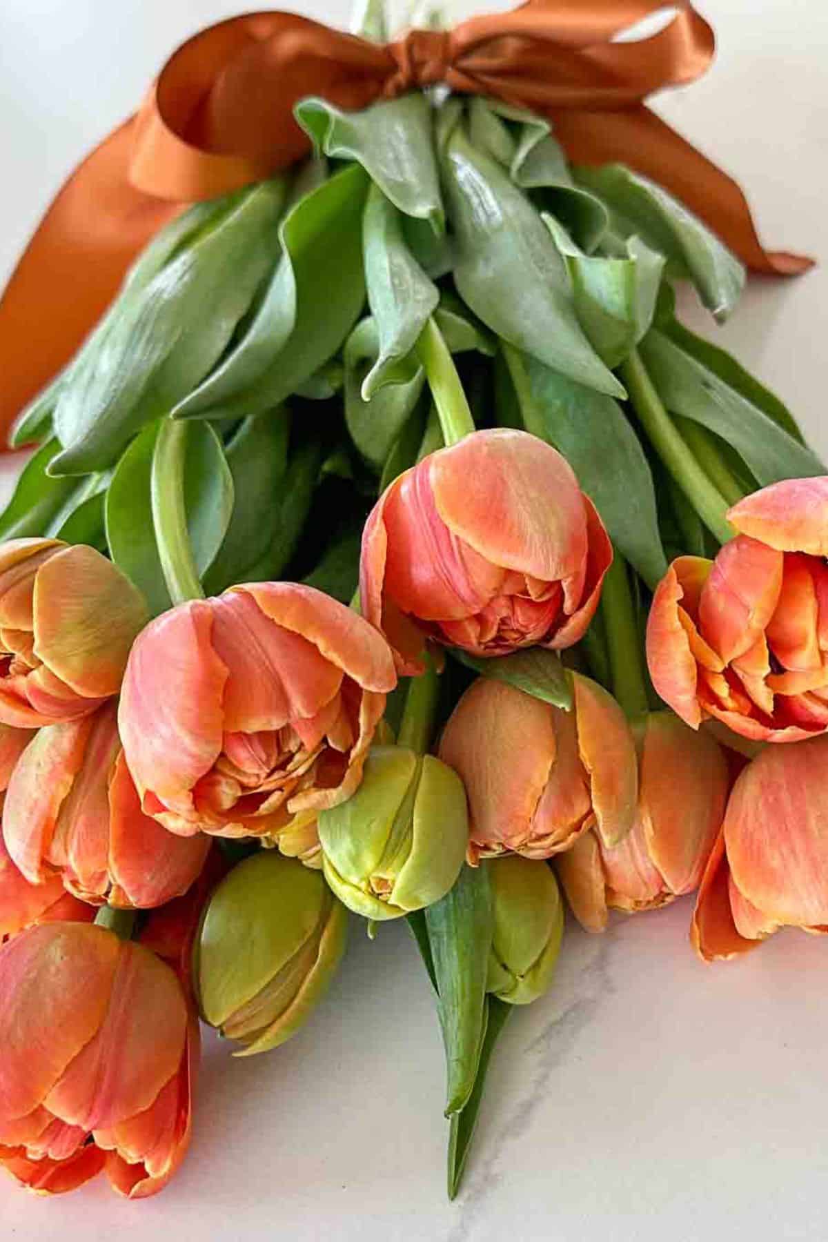how to care for cut tulips so they last longer.