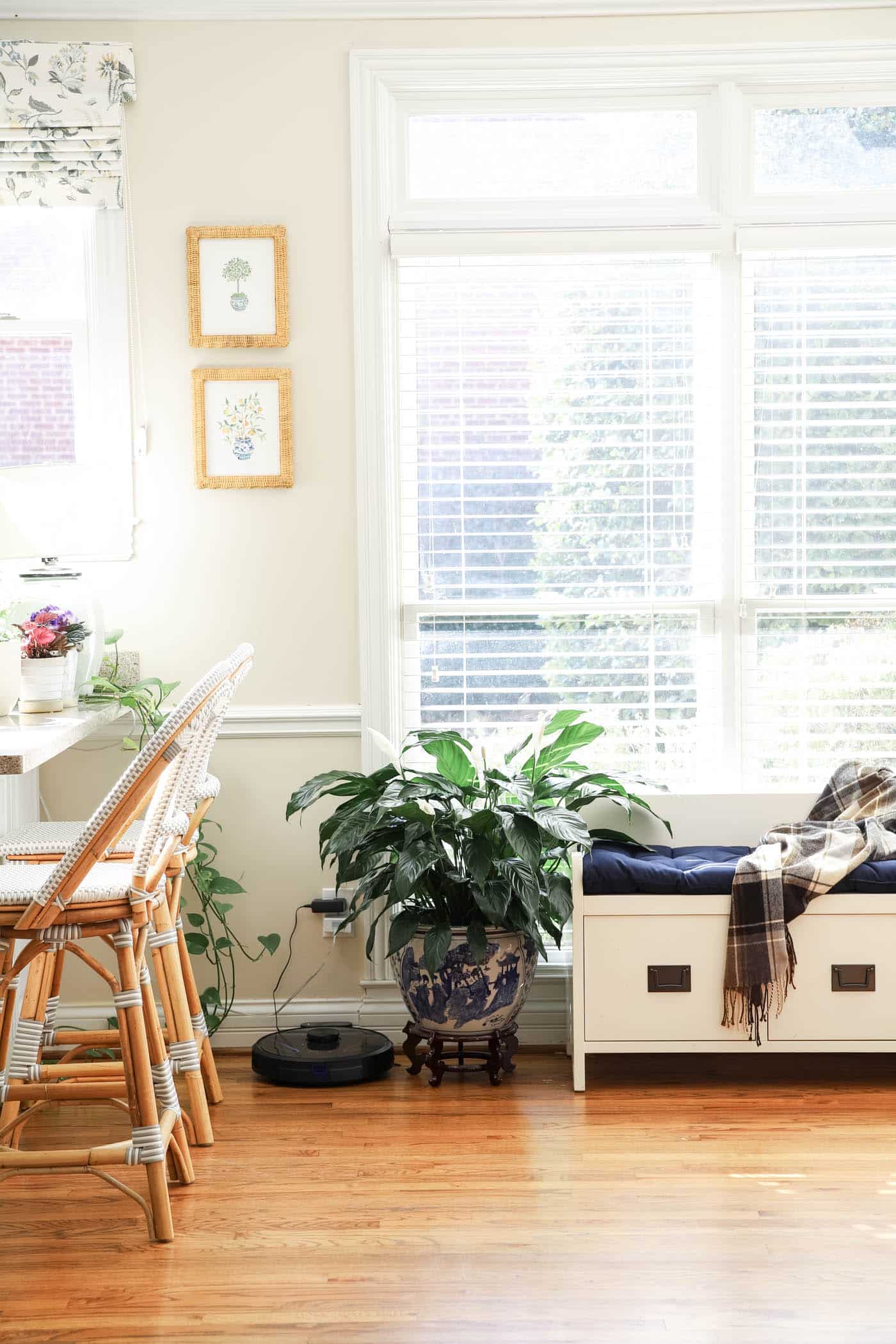 Simple corner of a kitchen with large peace lily and chinoiserie planter and stand.