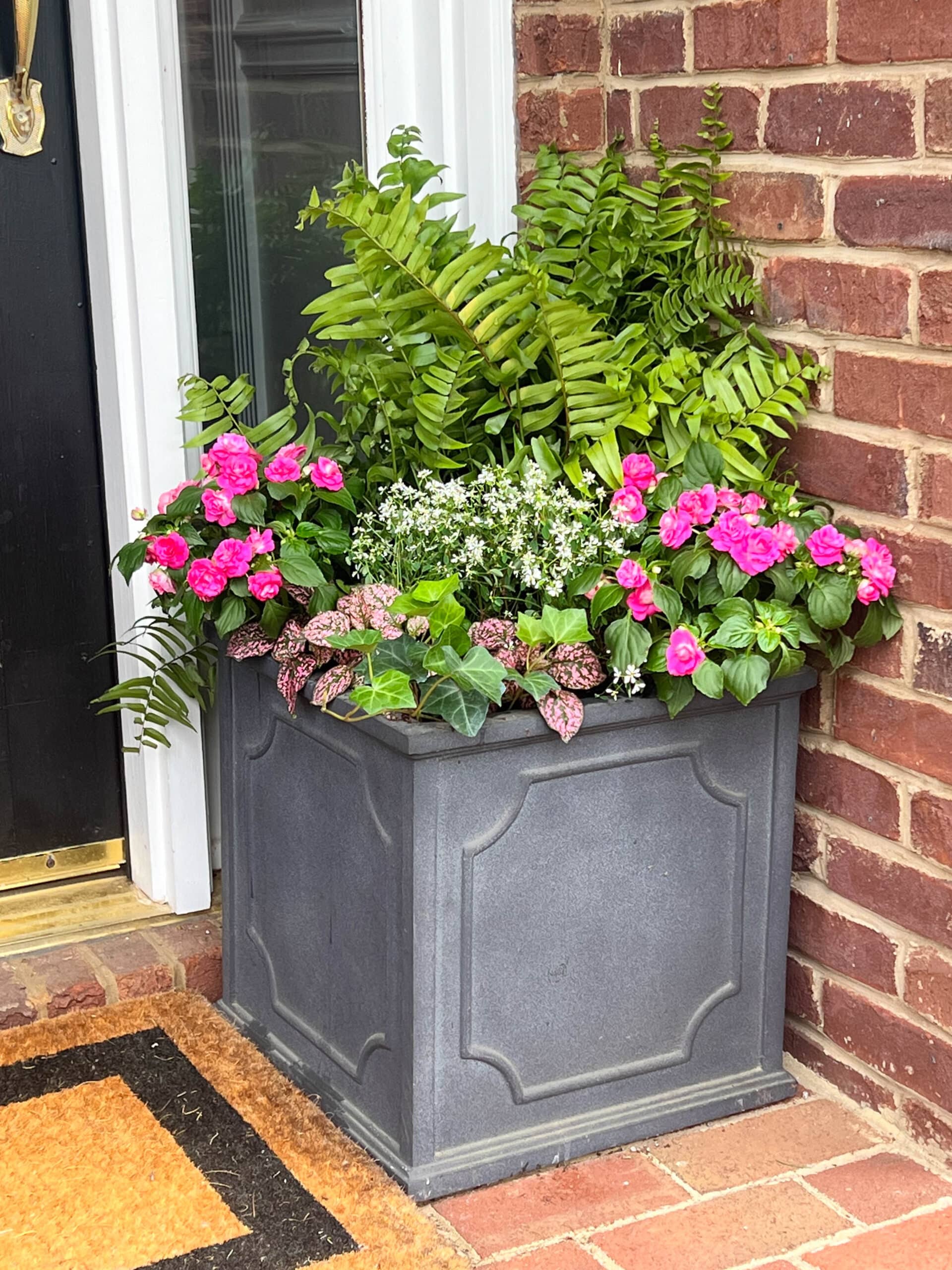 how to plant flowers in a planter