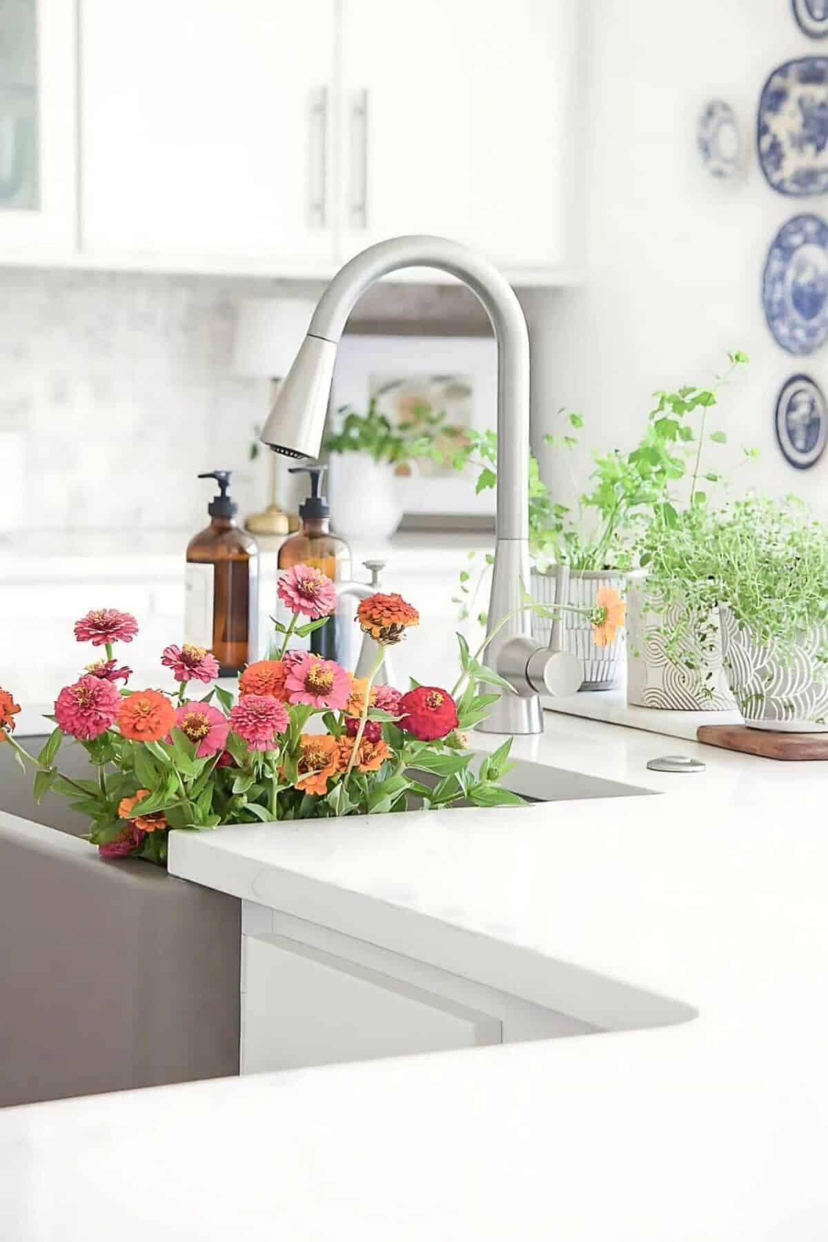 Bright white kitchen with farmhouse sink, modern faucet, fresh flowers and countertop herb garden