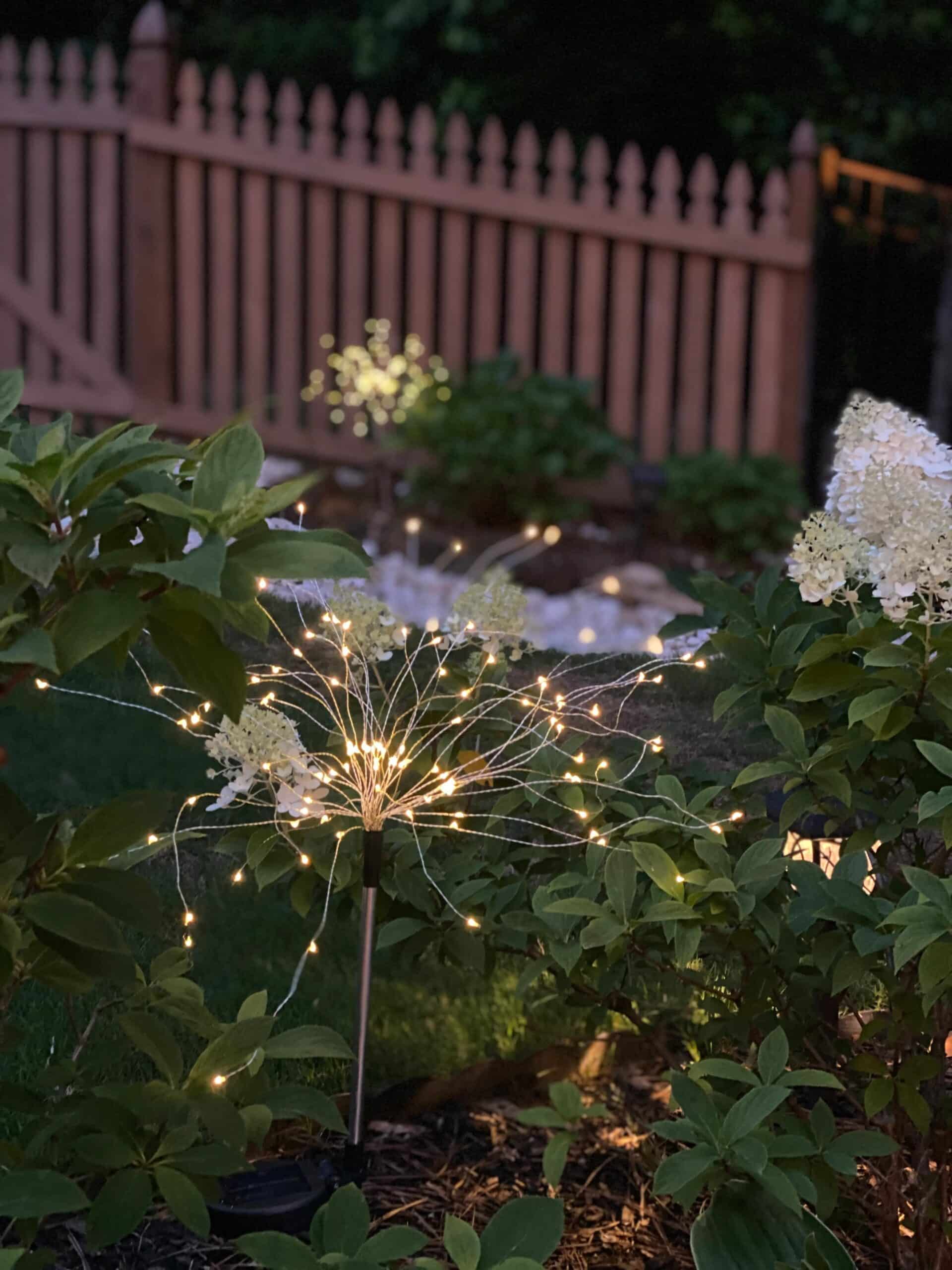 Lighting in the backyard